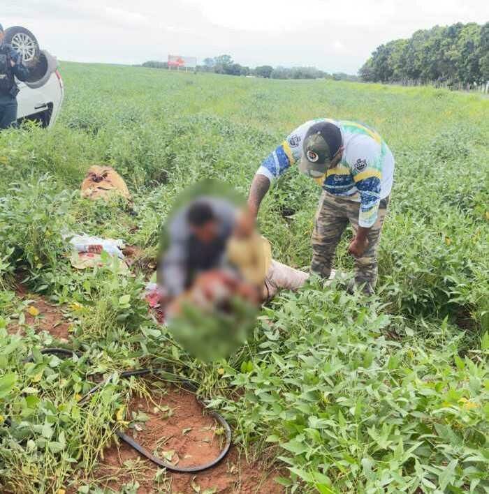 Imagem de compartilhamento para o artigo Vendedor ambulante morre após grave acidente na BR-060 em Paraíso das Águas da MS Todo dia